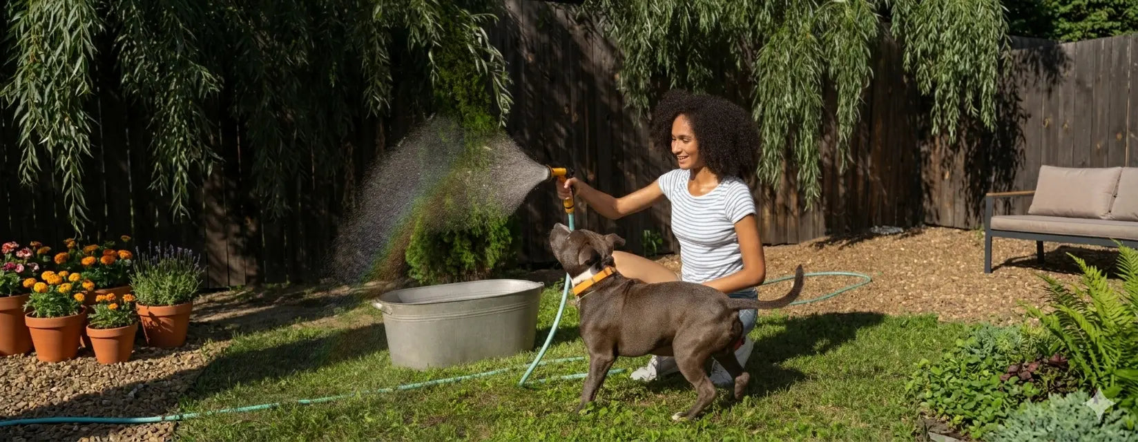 Summer Dog Care Tips: Keep Your Dog Safe, Cool and Comfortable with Skylos
