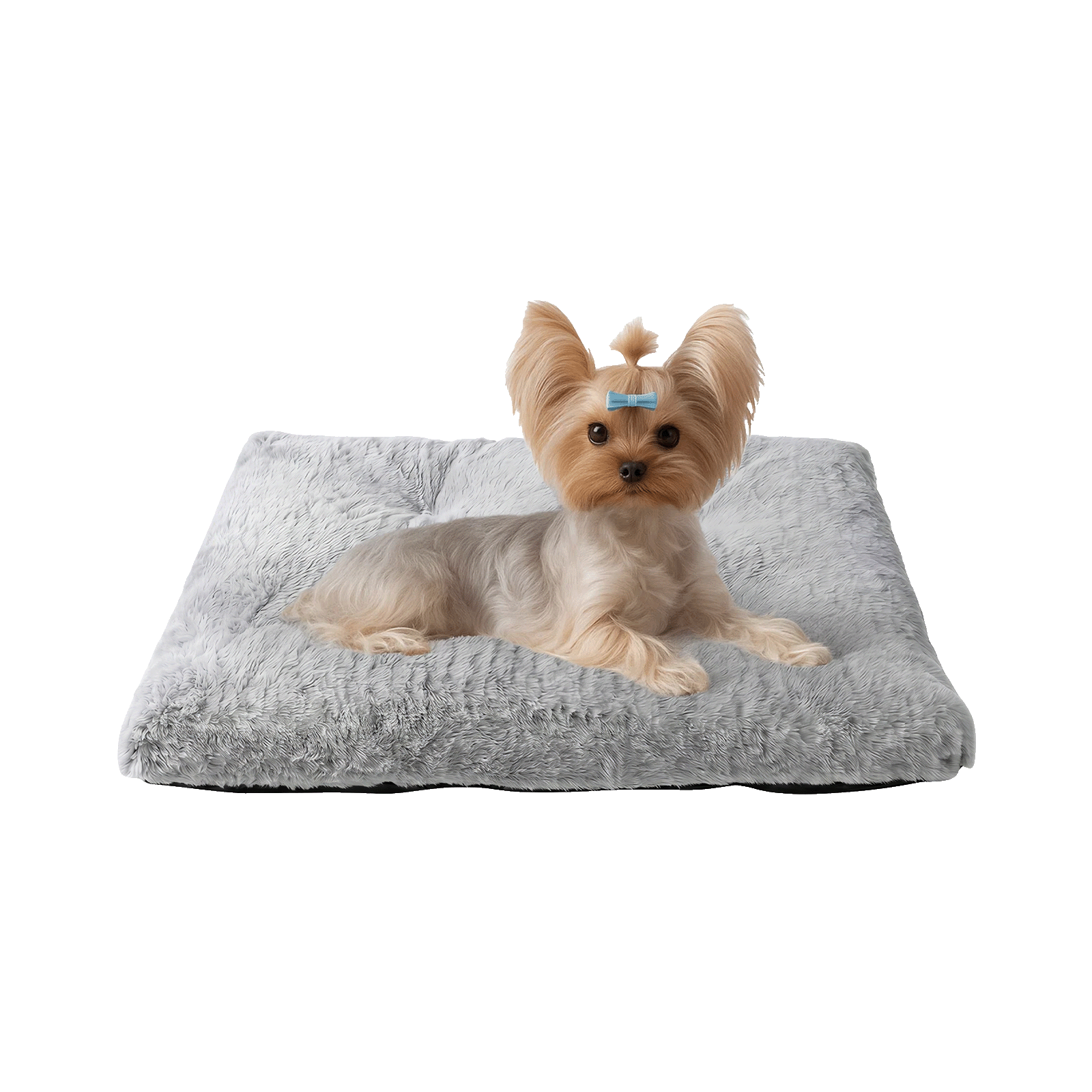 Small Dog Bed Soft Plush Pet Mattress