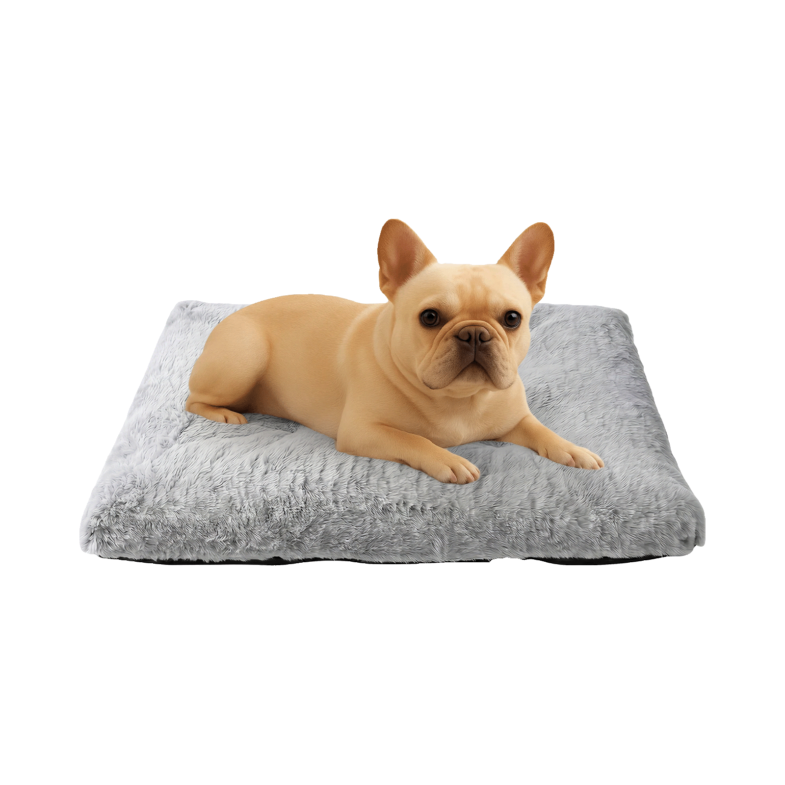 Medium Dog Bed Soft Plush Pet Mattress