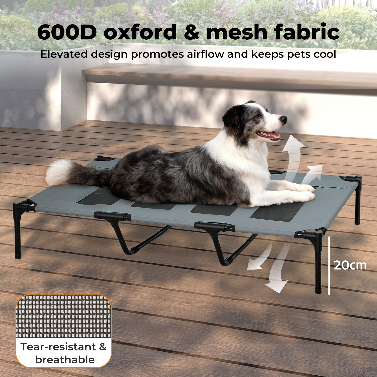 Elevated Pet Bed Raised