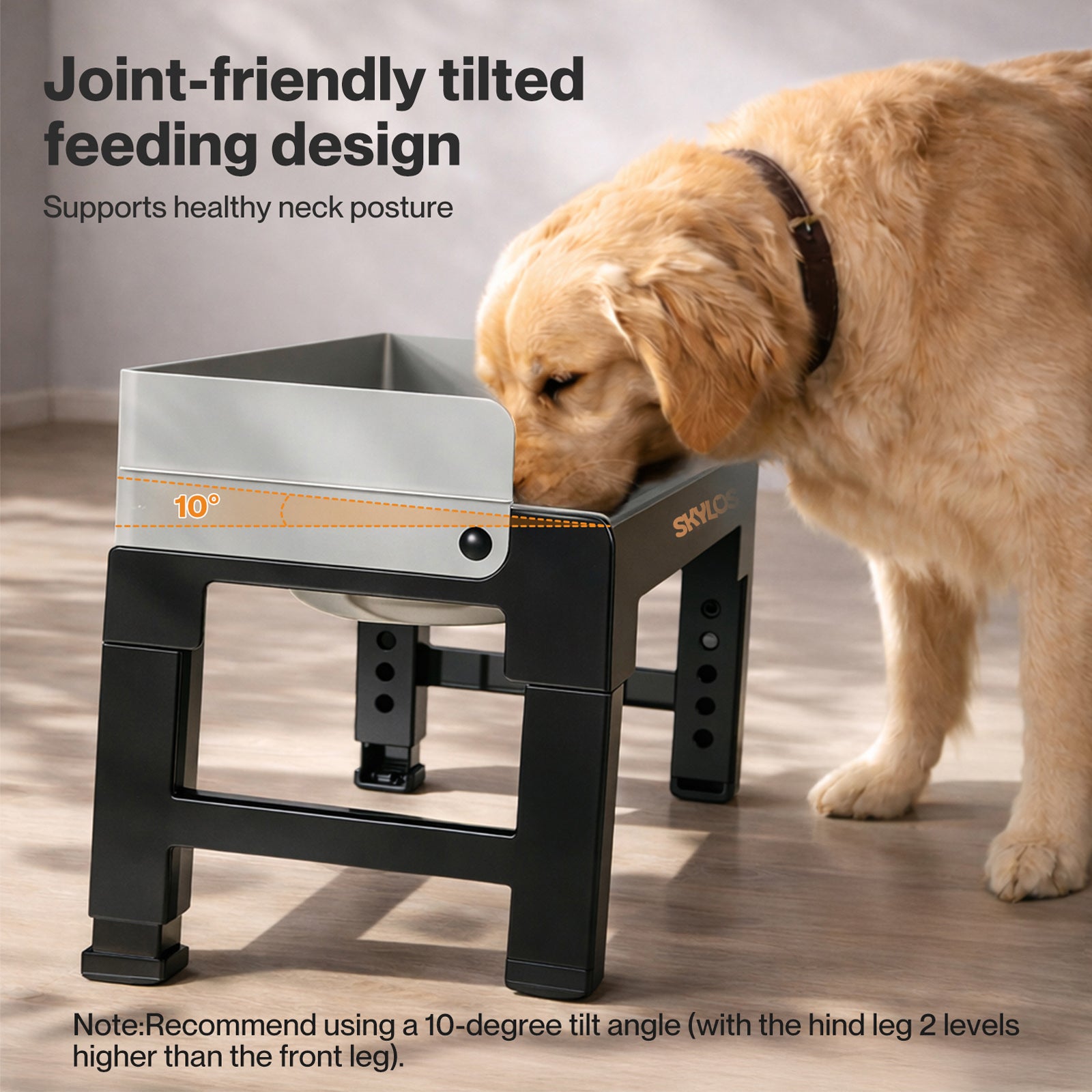 Raised Dog Bowls
