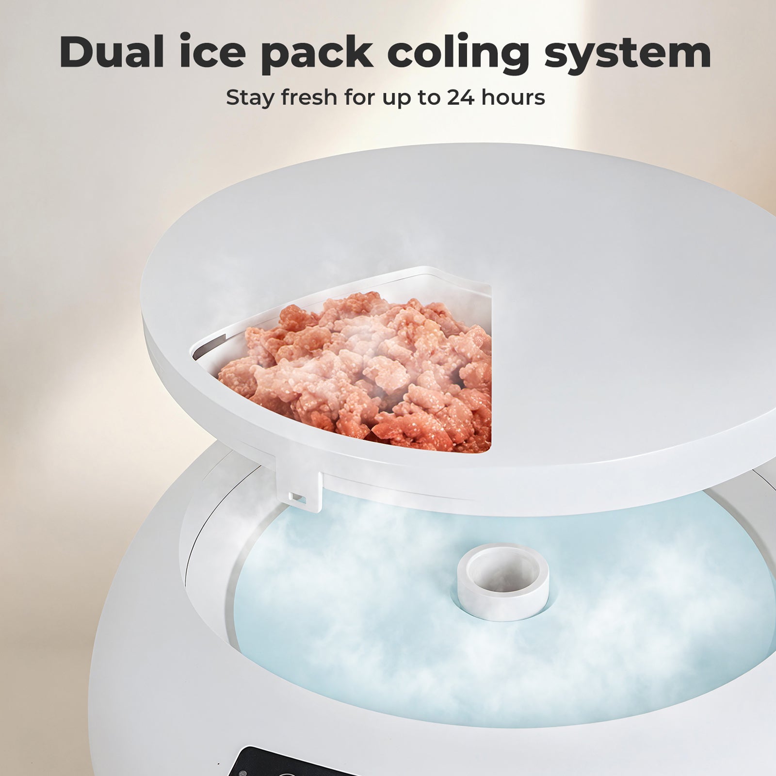 Pet Feeder Automatic