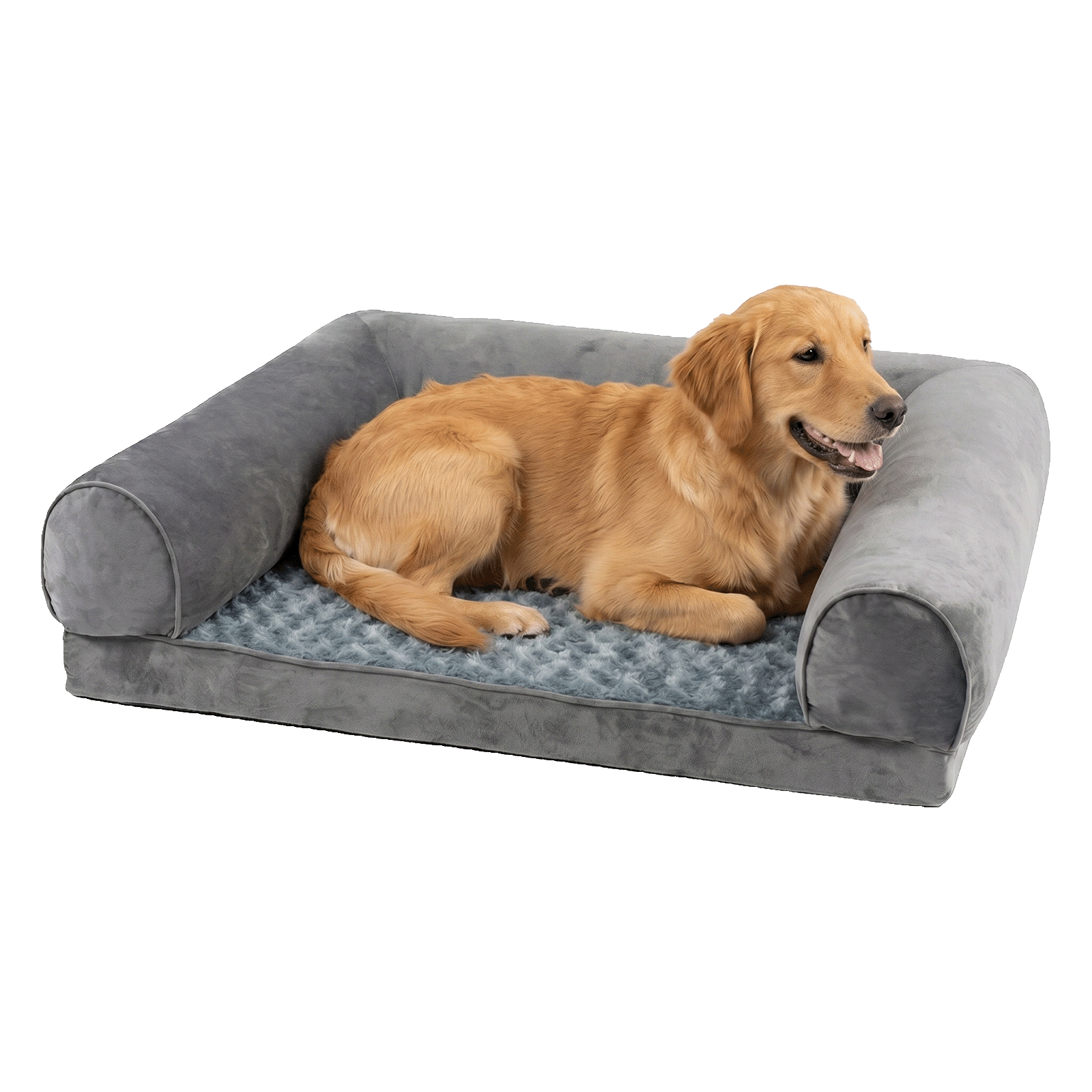 Large Pet Bed Foam