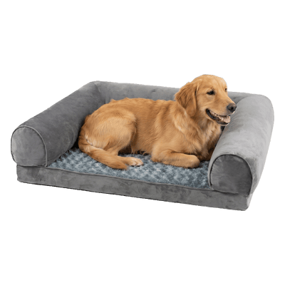 Large Pet Bed Foam