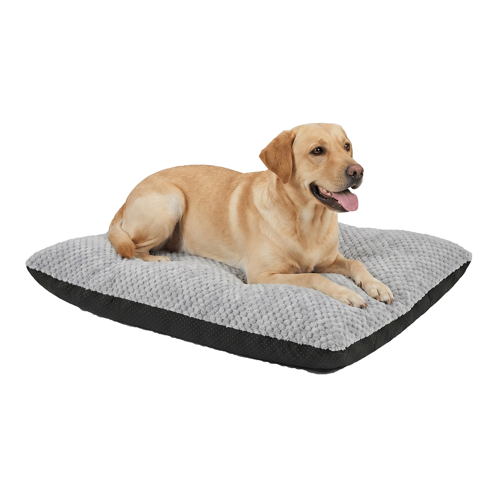 Large Pet Bed Cushion
