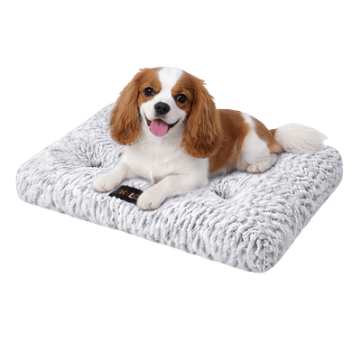 Medium Pet Bed Luxury