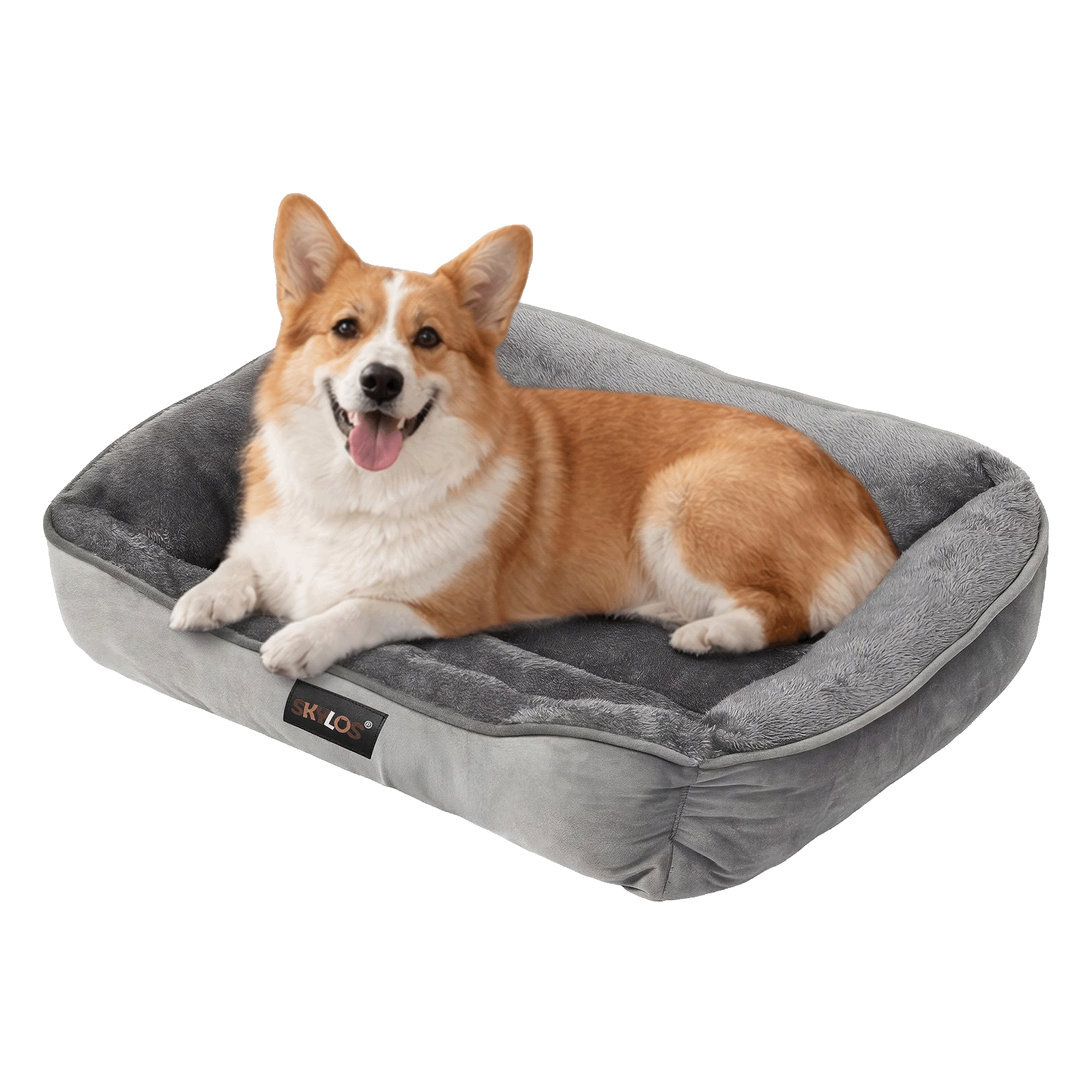 Large Orthopedic Dog Bed