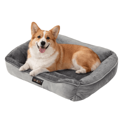 Large Orthopedic Dog Bed