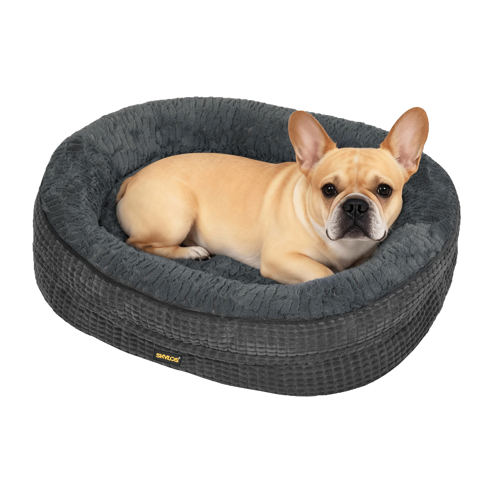 Medium Orthopedic Plush Dog Bed Soft