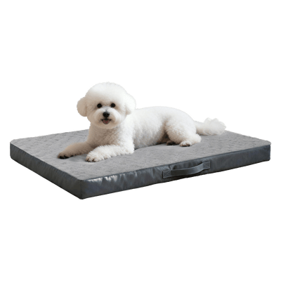 Small Washable Dog Bed Waterproof Plush
