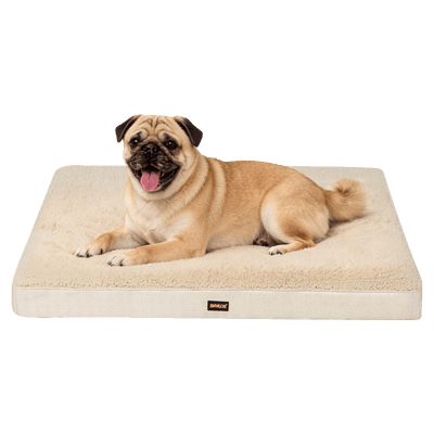 Medium Pet Bed
