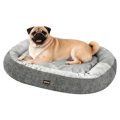 Medium Pet Bed Washable