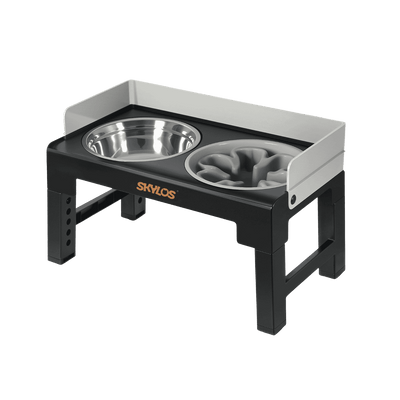 Raised Dog Bowls