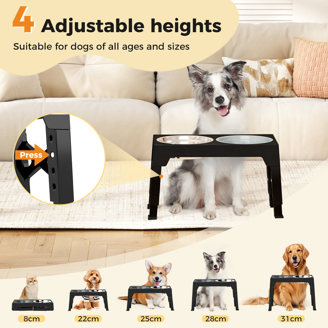 Dog Raised Feeding Bowls