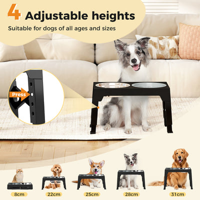 Dog Raised Feeding Bowls