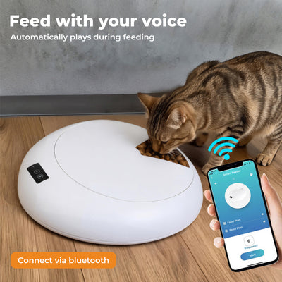 Pet Feeder Automatic