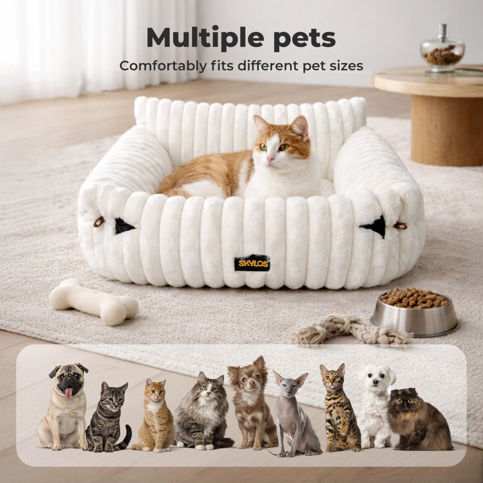 Pet Sofa Couch Bed