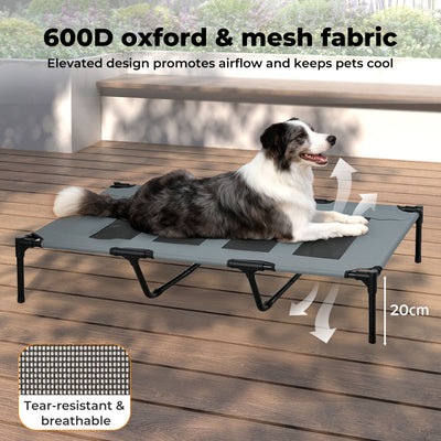 Elevated Pet Bed Raised