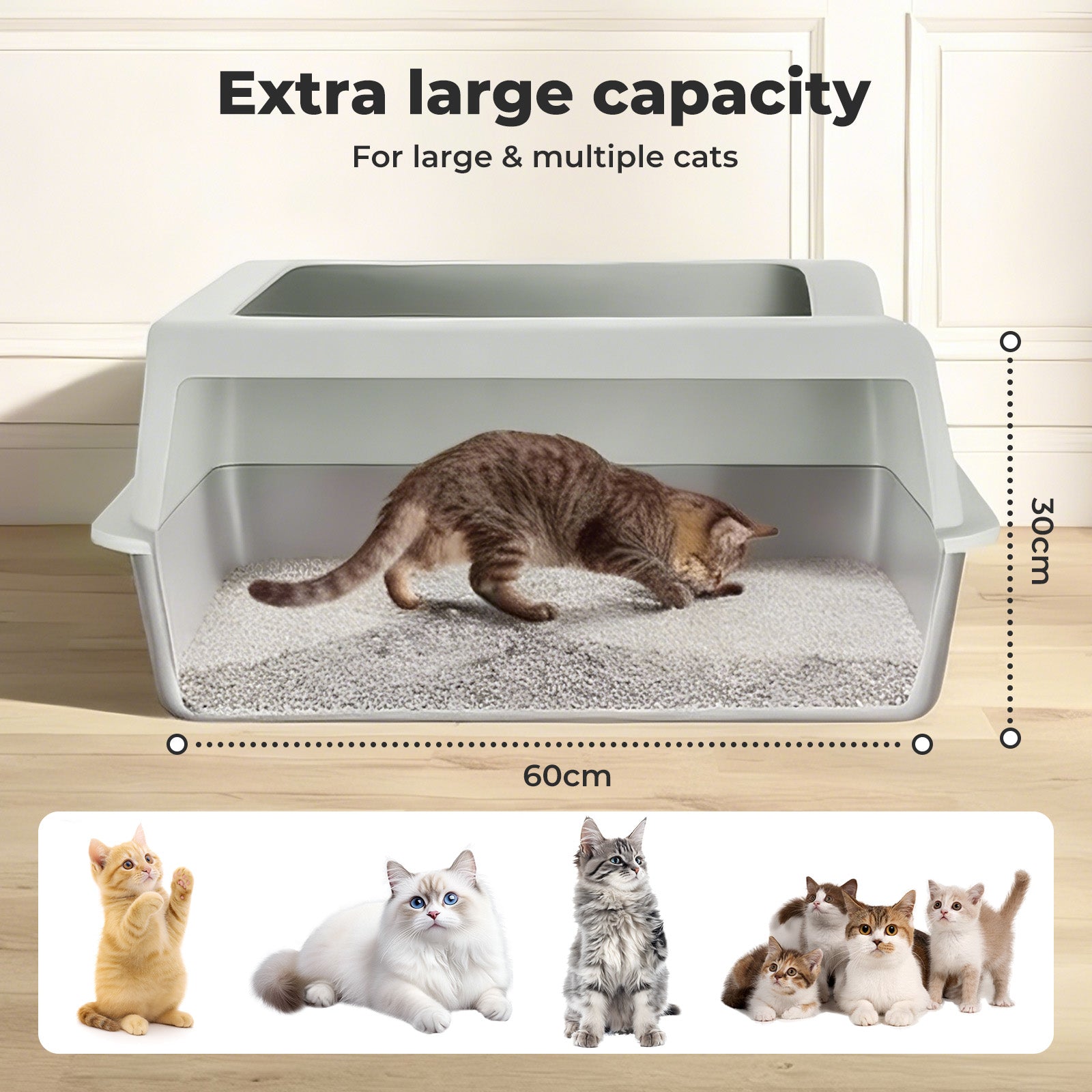 Cat Litter Box