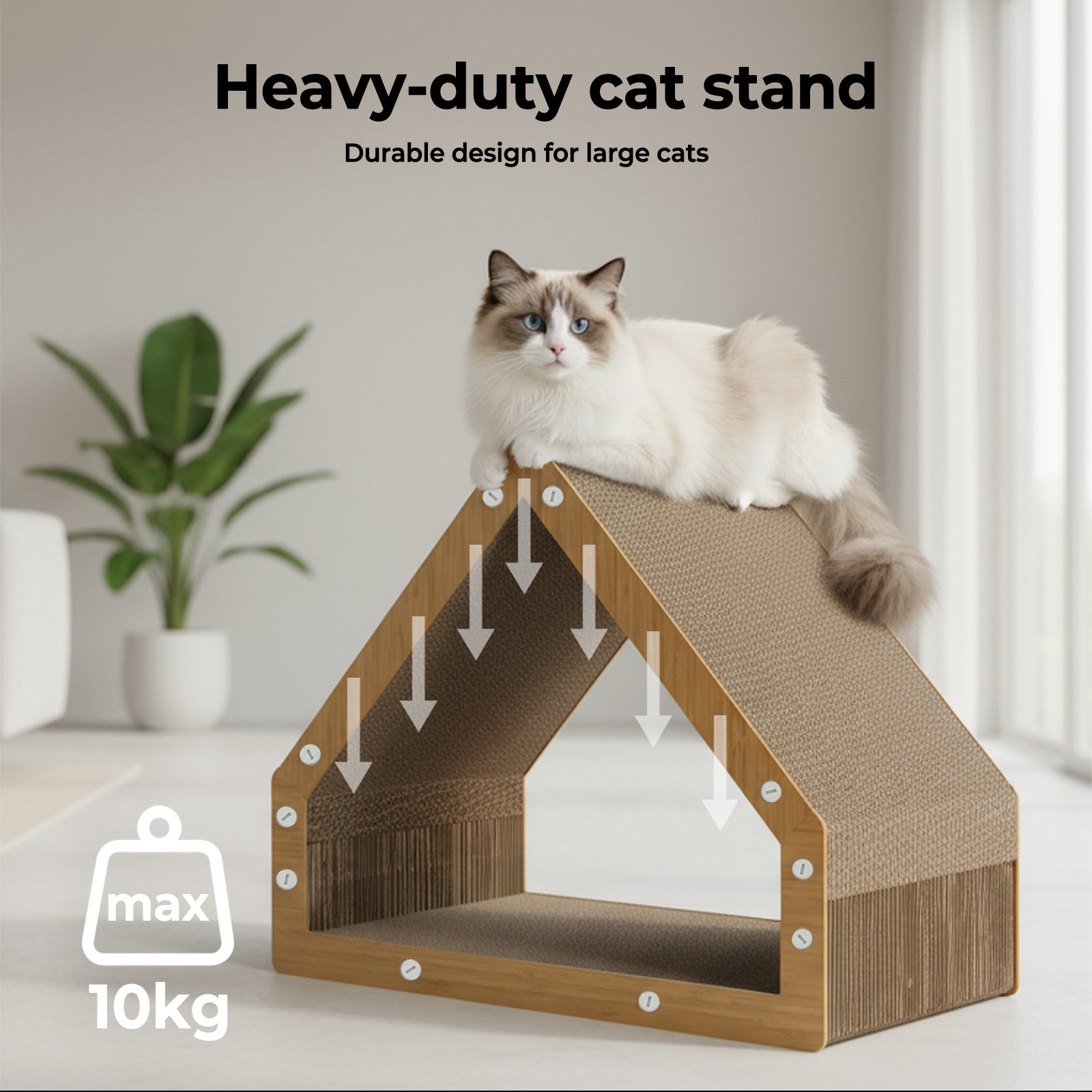Cat Scratching Board House