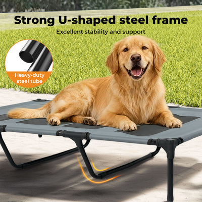Elevated Pet Bed Raised