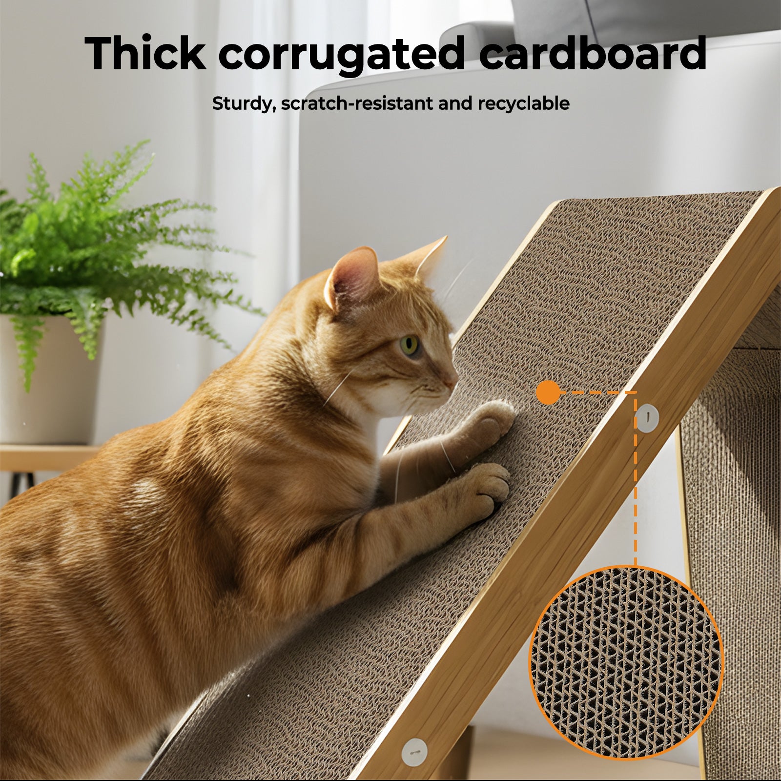 Cat Scratching Board House