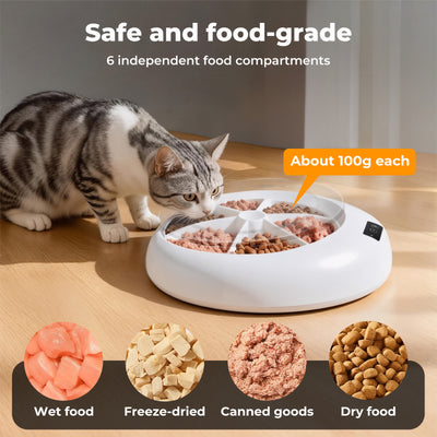 Pet Feeder Automatic