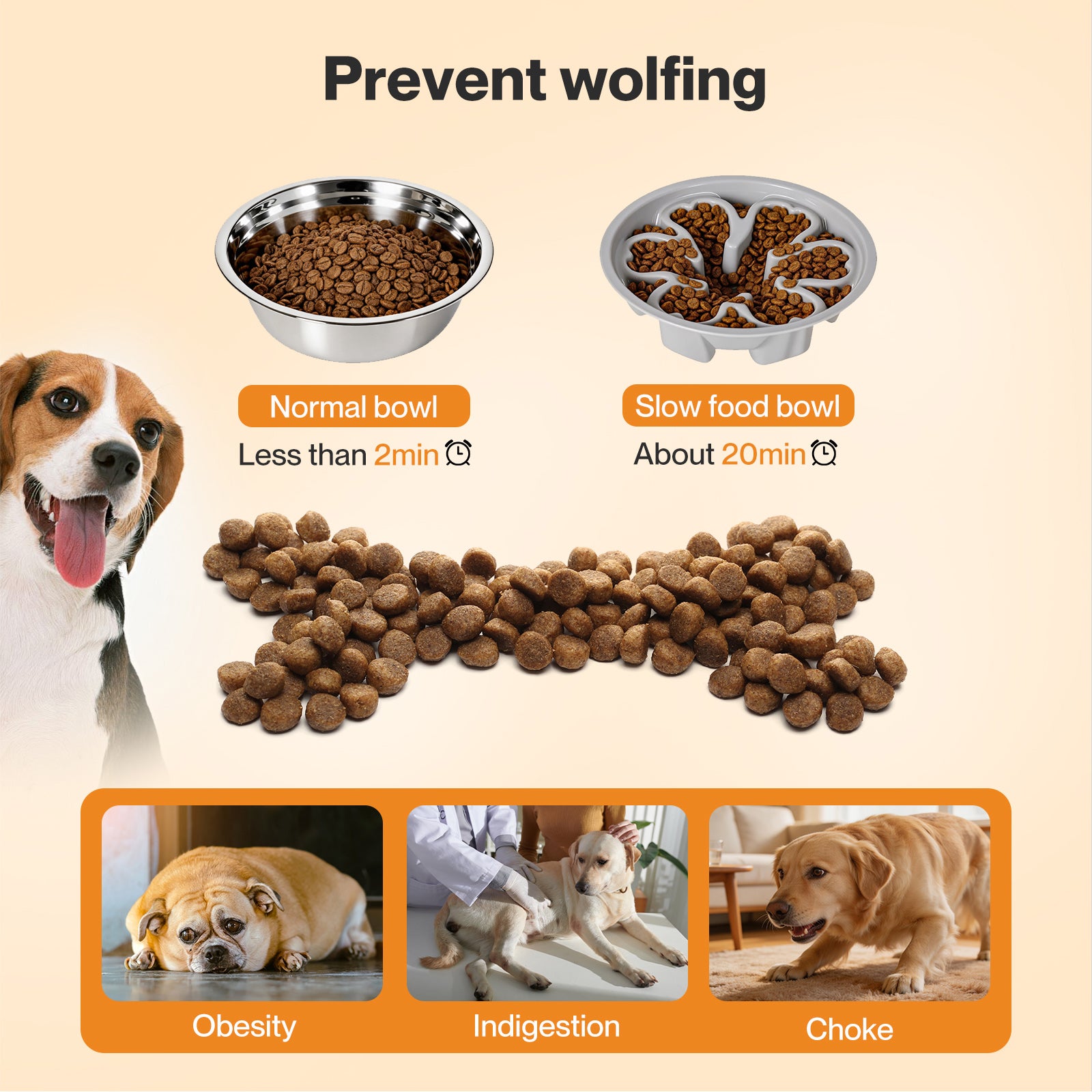 Raised Dog Bowls
