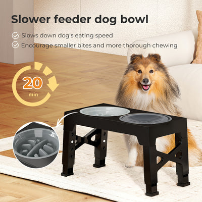 Pet Feeder Raised Dog Food Water Feeding Bowl