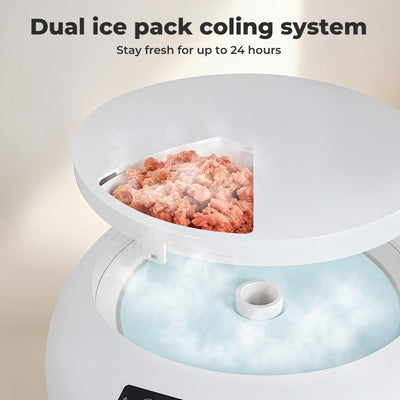Pet Feeder Automatic
