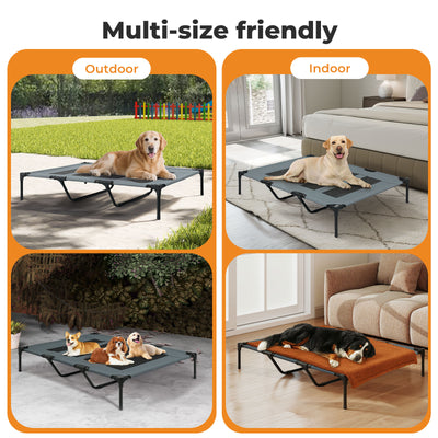 Elevated Pet Bed Raised