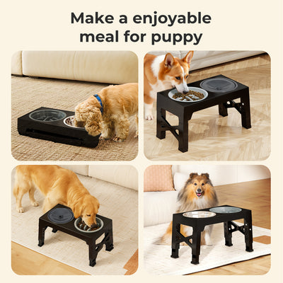 Pet Feeder Raised Dog Food Water Feeding Bowl