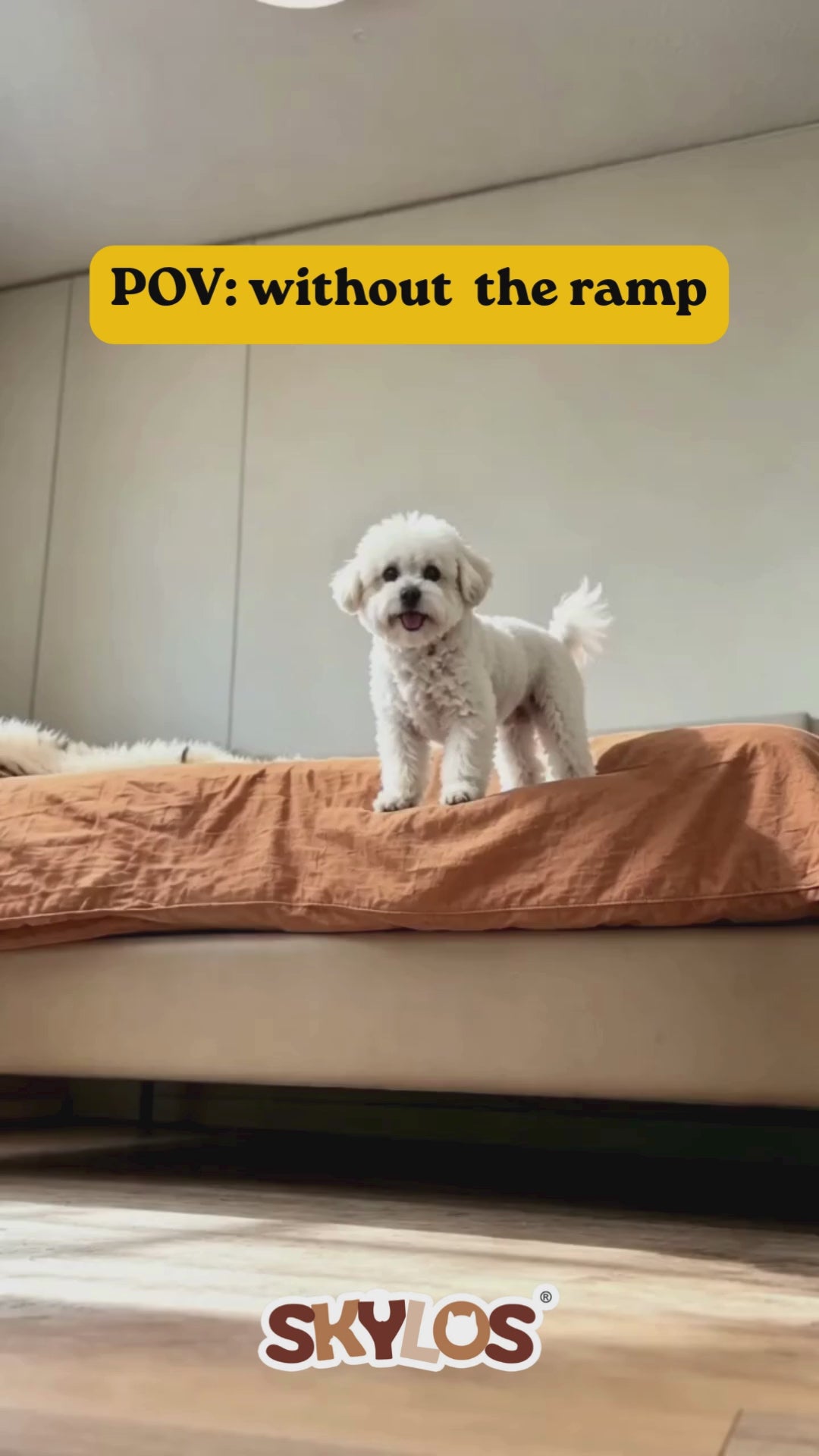 Load video: 