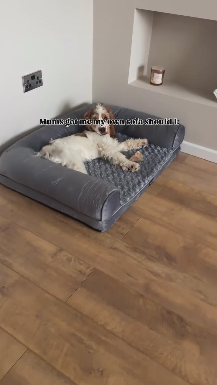 Load video: 