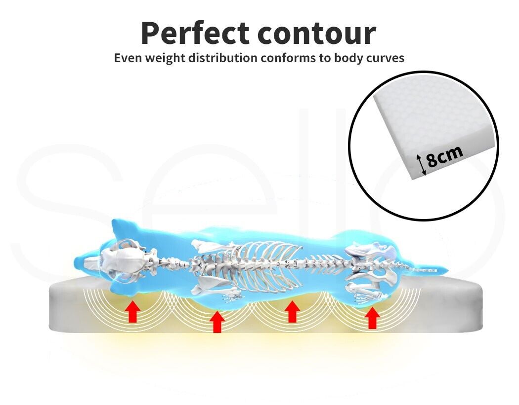 Large Pet Bed Foam